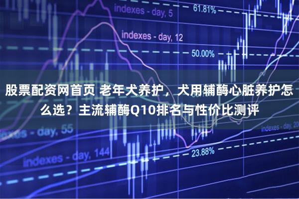 股票配资网首页 老年犬养护，犬用辅酶心脏养护怎么选？主流辅酶Q10排名与性价比测评